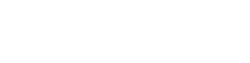 Cryptousweb logo white