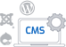Icon representing custom CMS solutions for seamless website management